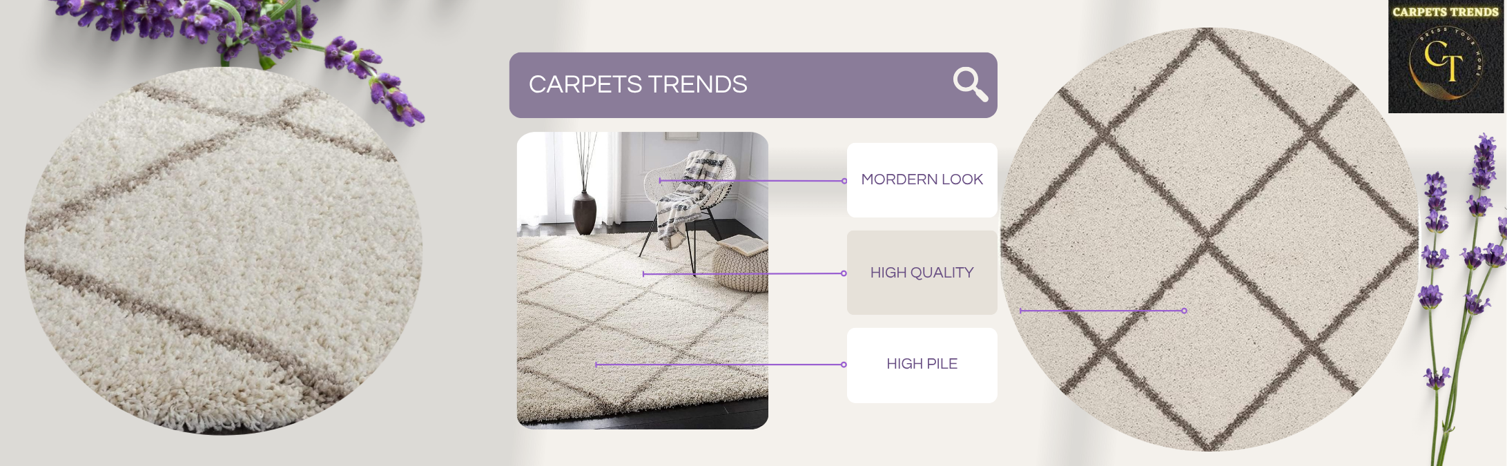 shaggy carpets online